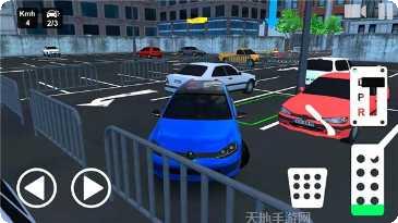 真实停车2021安卓版