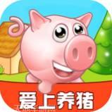 爱上养猪