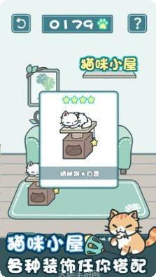 天天躲猫猫2隐藏关卡