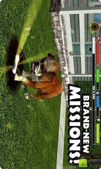 流浪狗模拟游戏下载