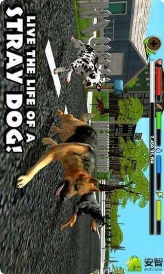 流浪狗模拟养成