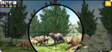 野生动物园猎人夜间任务