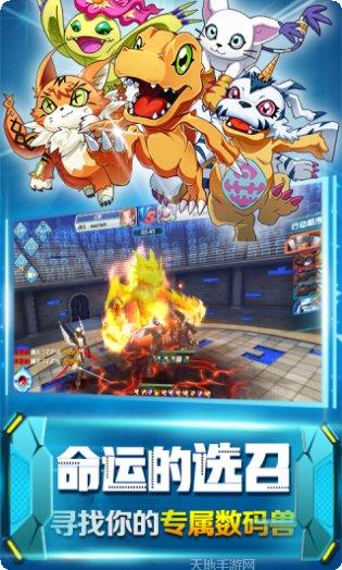 究极进化角色推荐