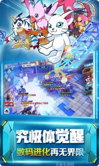 究极进化阵容搭配