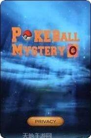 PokePlus角色搭配推荐