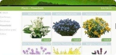 花园建设者植物搭配