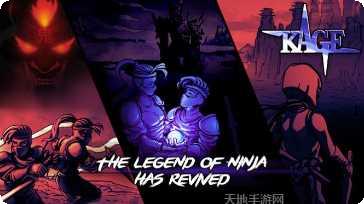 Ninja Arashi角色解锁