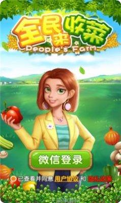 全民来打怪游戏攻略