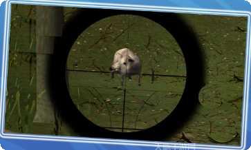 丛林真实猎杀动物攻略