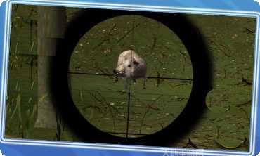 丛林真实猎杀动物玩法介绍