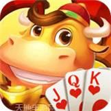 牛牛poker