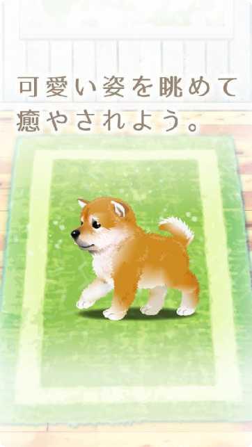 治愈系海蜇养成心得