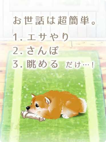 治愈系海蜇养成评测