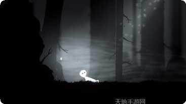 神圣之光激活码