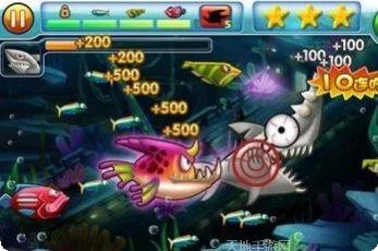 大鱼吃小鱼真人版最新版本