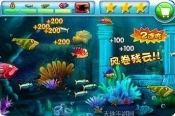 大鱼吃小鱼真人版安卓版