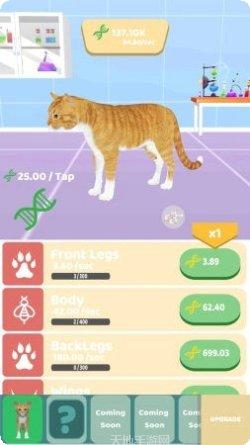 动物进化种族最新版本