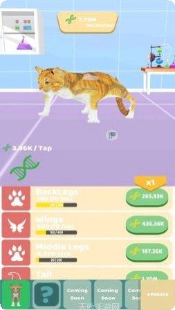 动物进化种族玩家交流