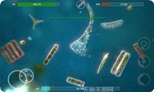 孢子进化模拟器安卓