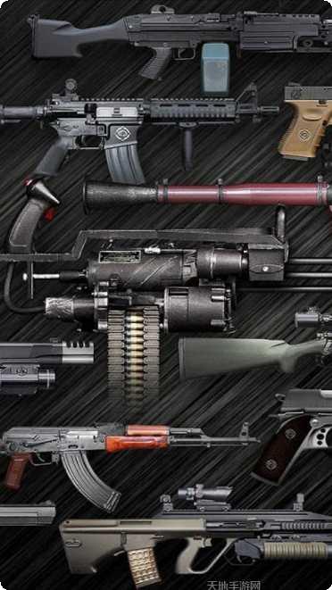 真实武器世界下载