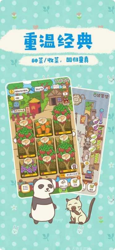 口袋菜地种子获取