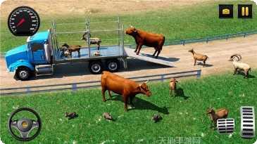 农场动物园岛湾村资源获取技巧