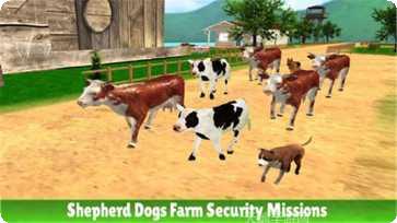 牧羊犬分羊攻略