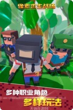 像素求生大作战攻略