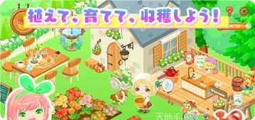 城市中的紫水晶角色介绍