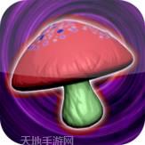 爱丽丝与恋之魔法