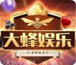大蜂游戏