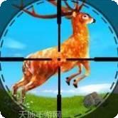 野生鹿猎人动物狩猎