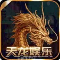 天龙游戏