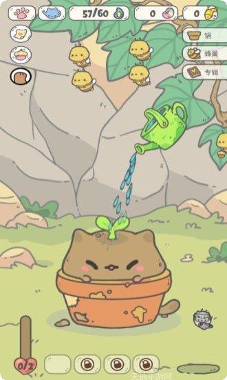 我的猫咪会打碟音乐节奏