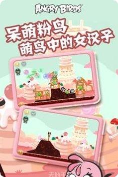 Angry Pig角色介绍