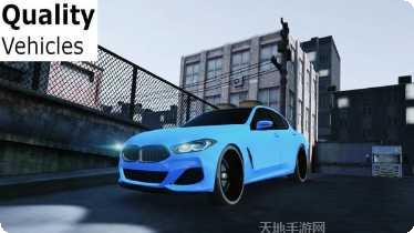 真实停车场驾驶挑战