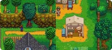 超级动物变身技巧分享