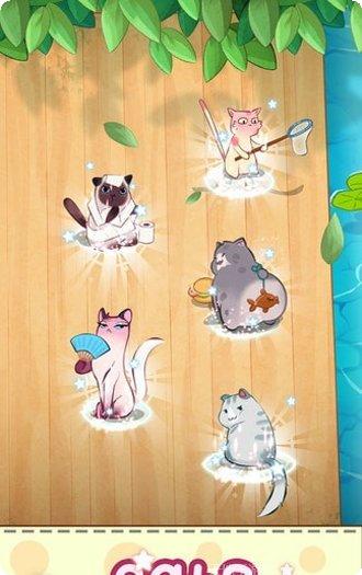 猫咪合十游戏攻略