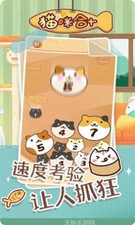 猫咪合十最新版本