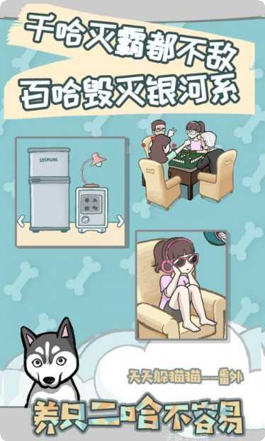 养只二哈不容易心得