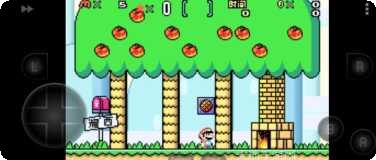 超级马里龙游戏攻略