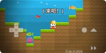 我的积木玩具最新版本