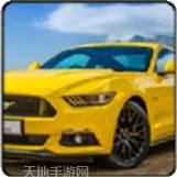 野马赛车模拟器