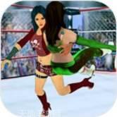 超级明星曲棍球游戏app