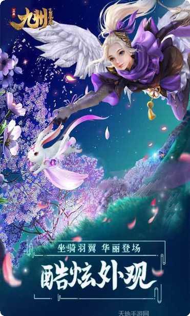 九州飞凰录果盘版激活码