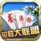 花样大联盟游戏