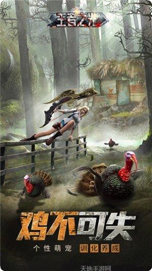 暗黑领地游戏攻略