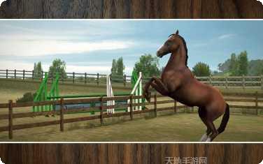 我的马模拟器攻略