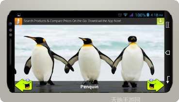 动物运输车越野行驶挑战