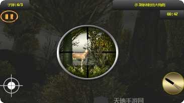 鹿狩猎野生动物冒险